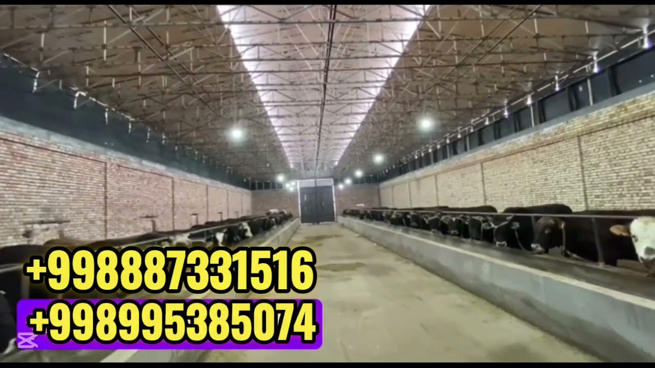 KANTINER PIROFLI BILAN KATA VA KICHIK IZDANIYALARNI TOM QISMNI YOPISH XIZMATI OʻZBEGISTON BOʻYLAB