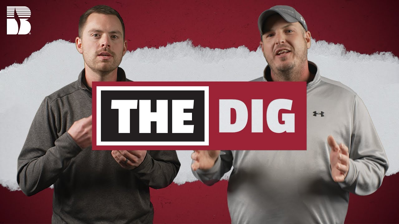 Introducing The Dig