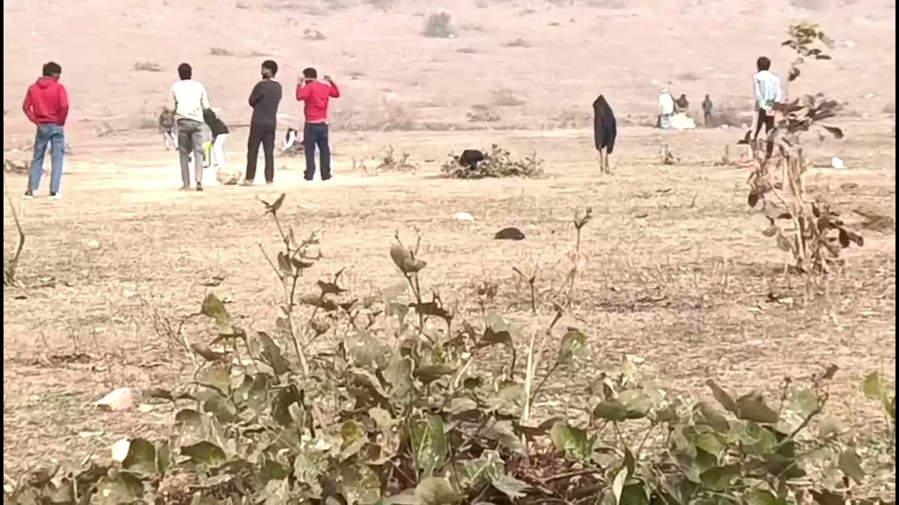 गांव का क्रिकेट gaon ka cricket superhit