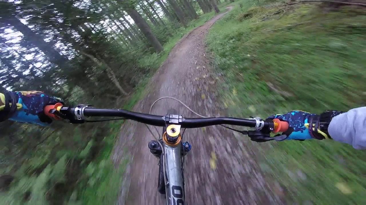 NORTHEAST FREERIDERS