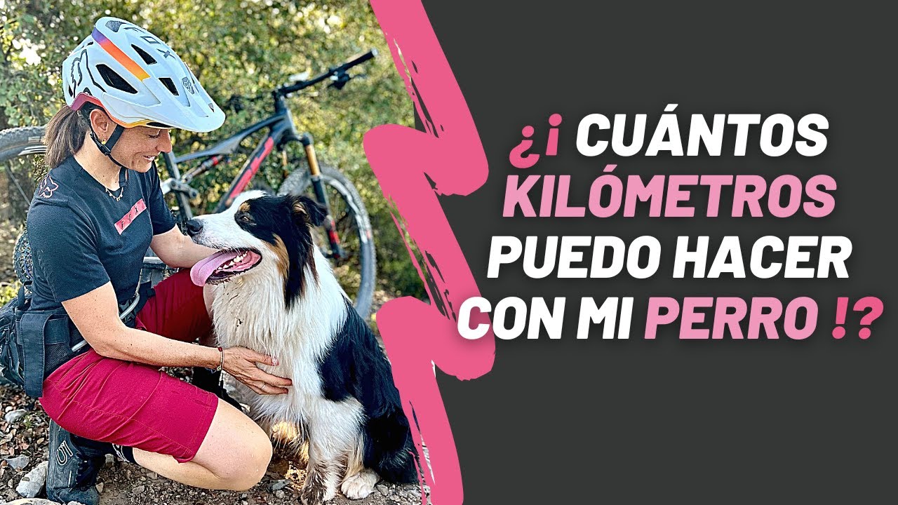 🐶Cuántos kilómetros de bici puedo hacer con mi perro? Qué tipo de ruta de montaña MTB puedo hacer?