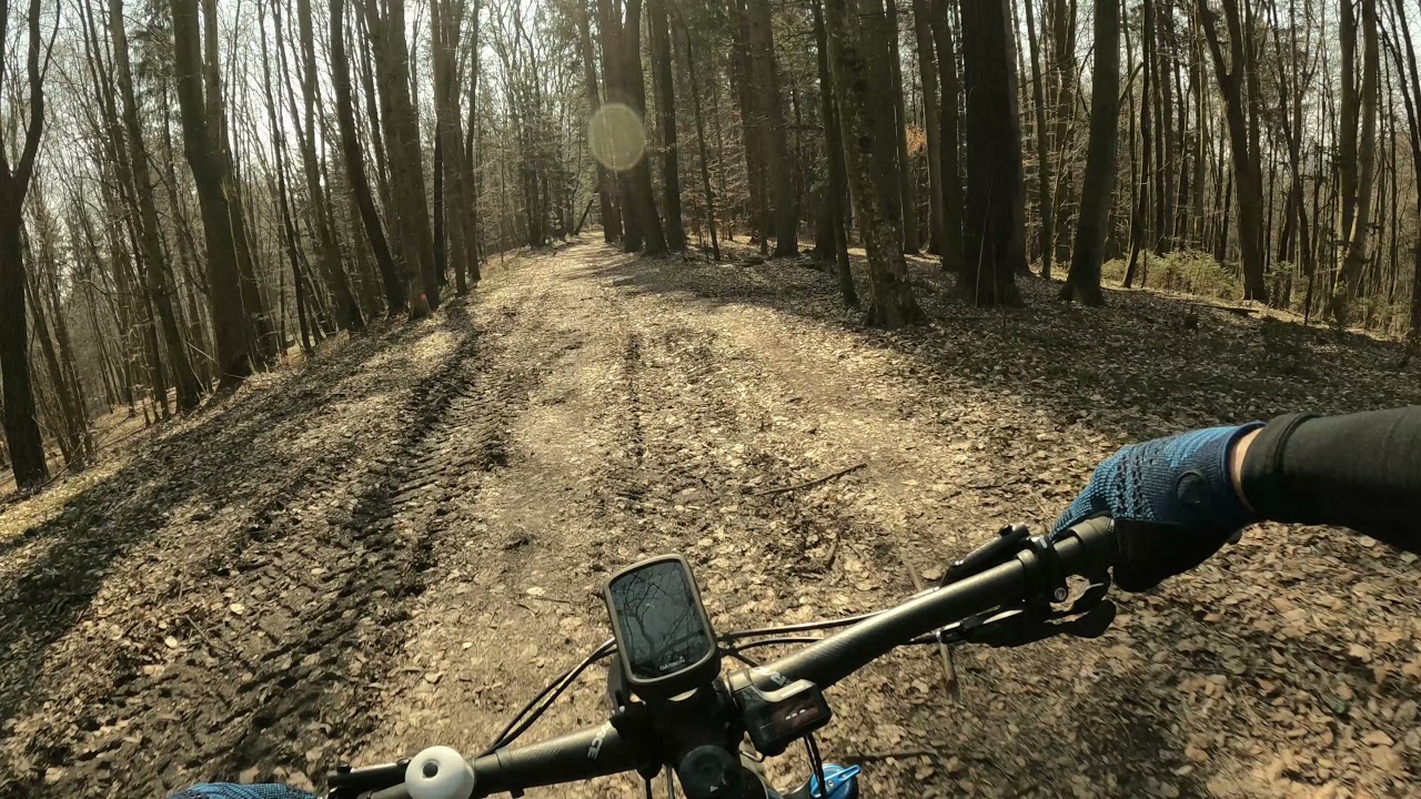 Waldweg Flamberg - Gr&ouml;ssing