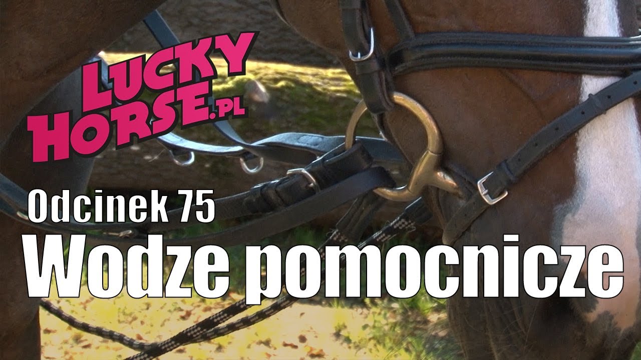 Porady LuckyHorse.pl - odc.75 - Wodze pomocnicze