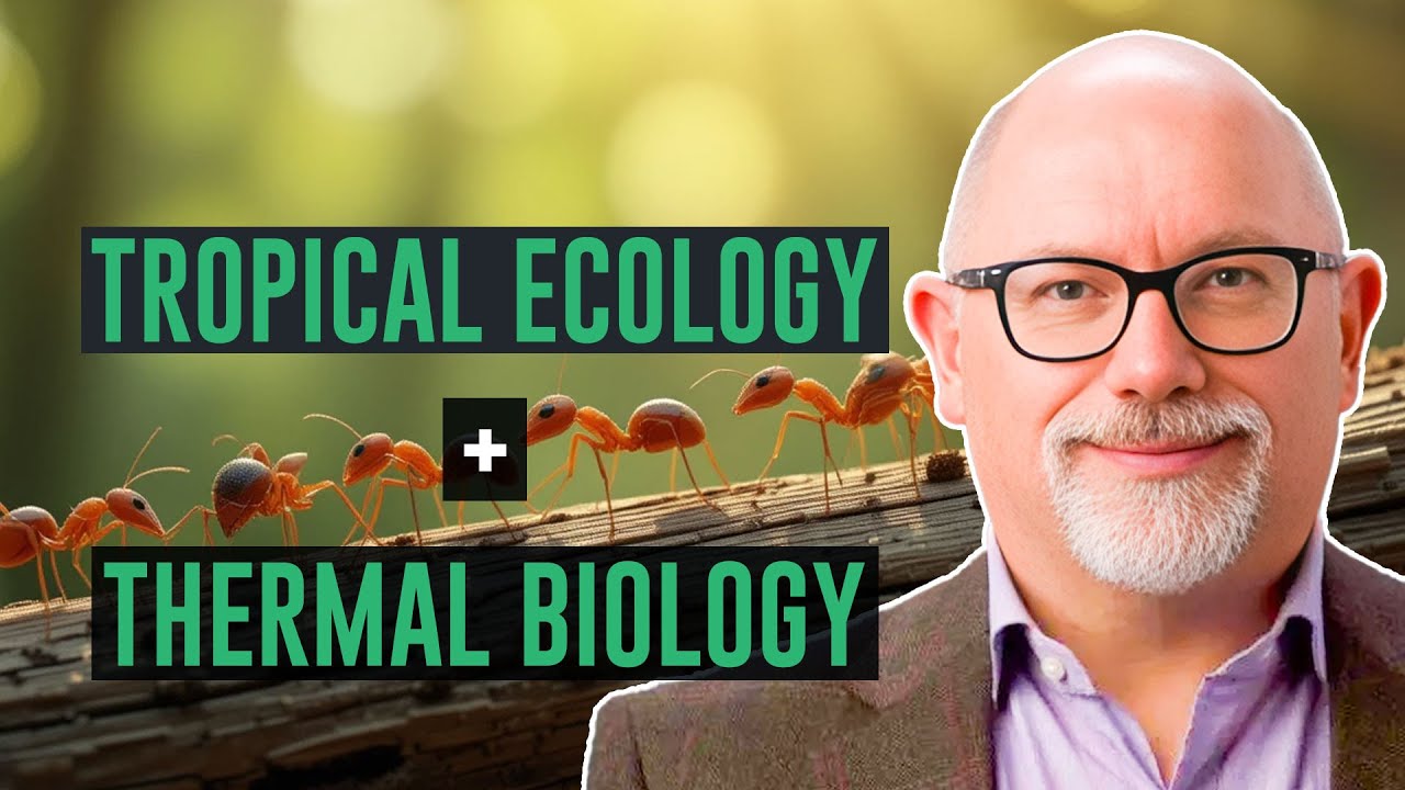 Tropical Ecology and Thermal Biology Explained