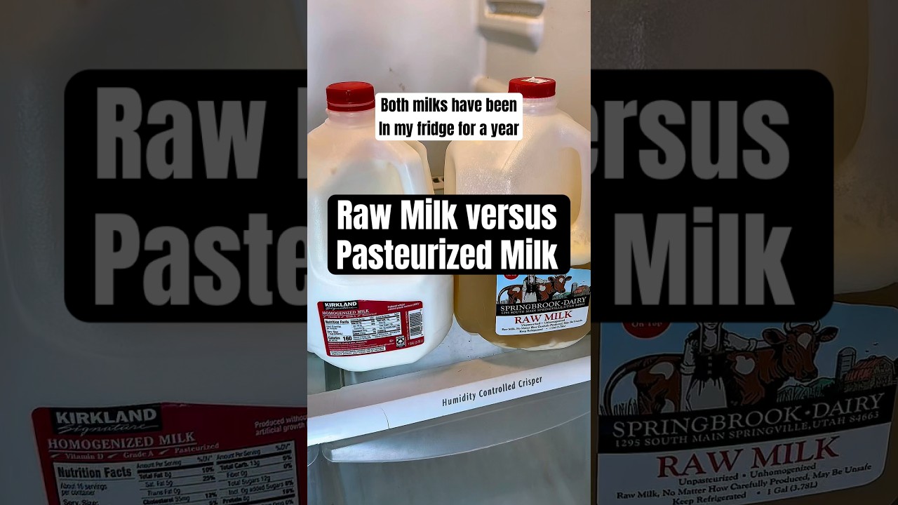 Raw milk and pasteurized milk after one year. #rawmilk #milk #bacteria #experiment