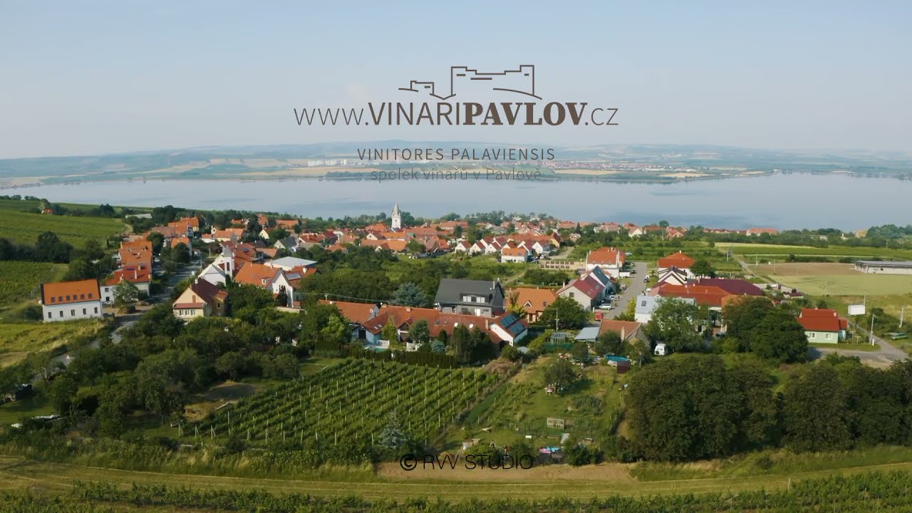 P&aacute;lava - vinice a Pavlov - vinařsk&aacute; obec, dronov&eacute; z&aacute;běry, l&eacute;to 2021