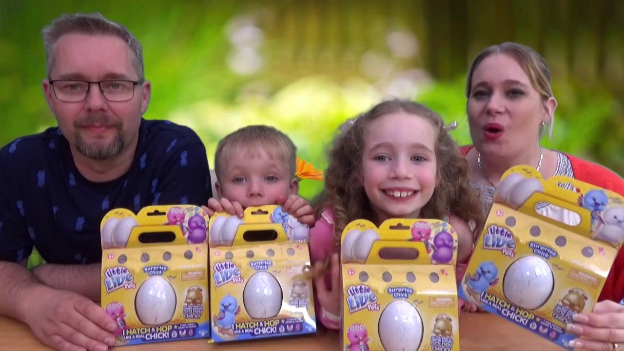 Little Live Pets Surprise Chicks Unboxing, Will We Get a Golden Chick?