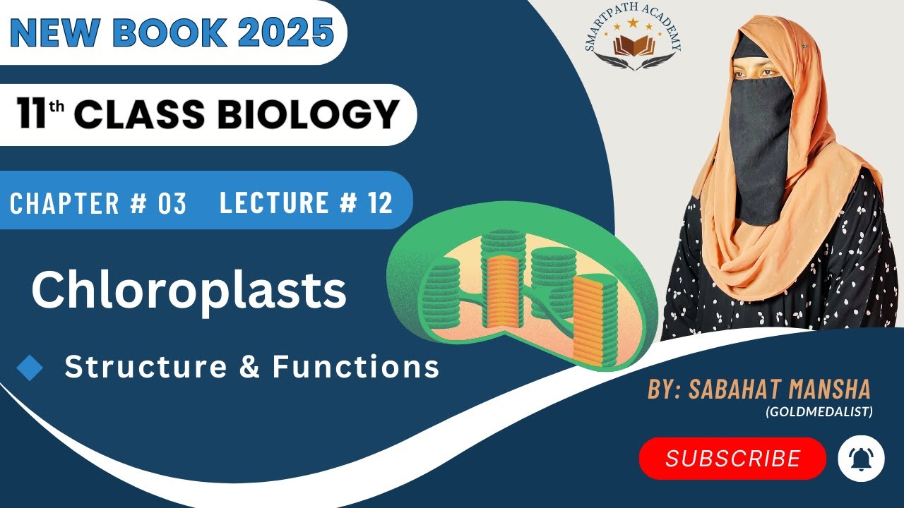 Chloroplast – Structure, Grana, Thylakoids & Functions | Class 11 Biology Ch 3 Lec 12 New Book