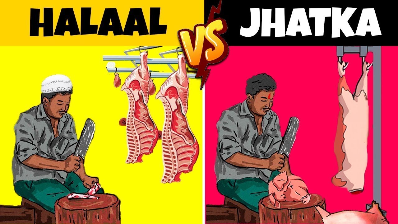 हलाल और झटका में क्या है फ़र्क? | मुस्लिम झटका क्यों नहीं खाते? | Jhatka and Halal Meat Difference