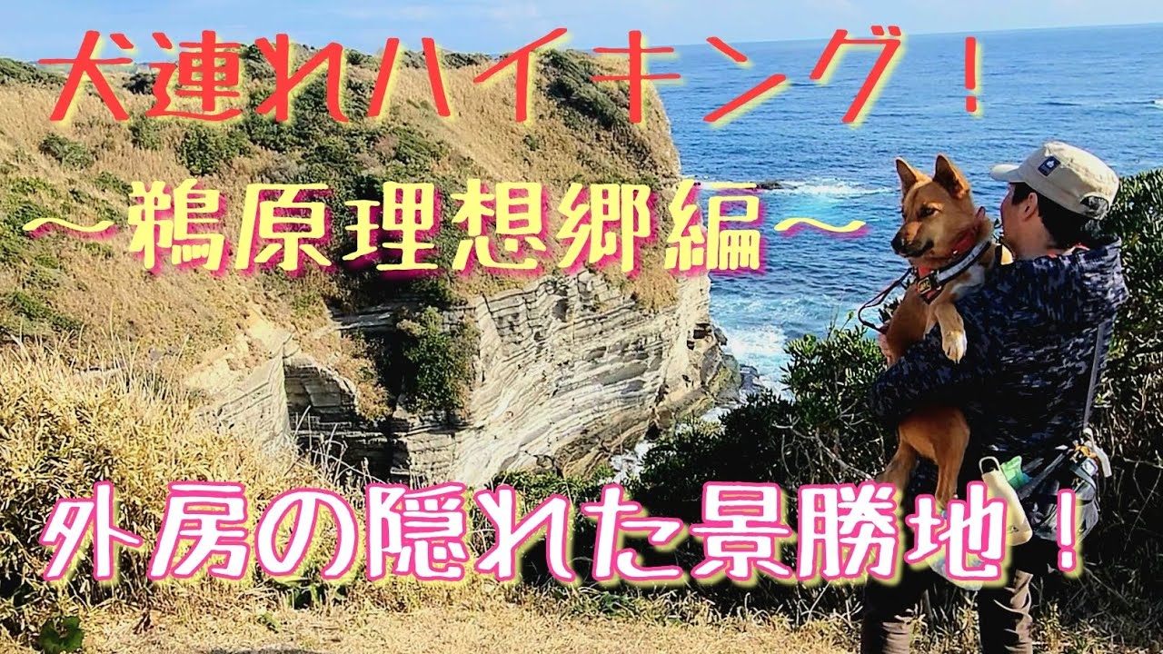【犬連れハイキング！】鵜原理想郷編。外房の隠れた景勝地！