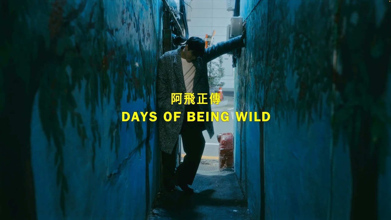 Days of being wild (Cinematic in Seoul)