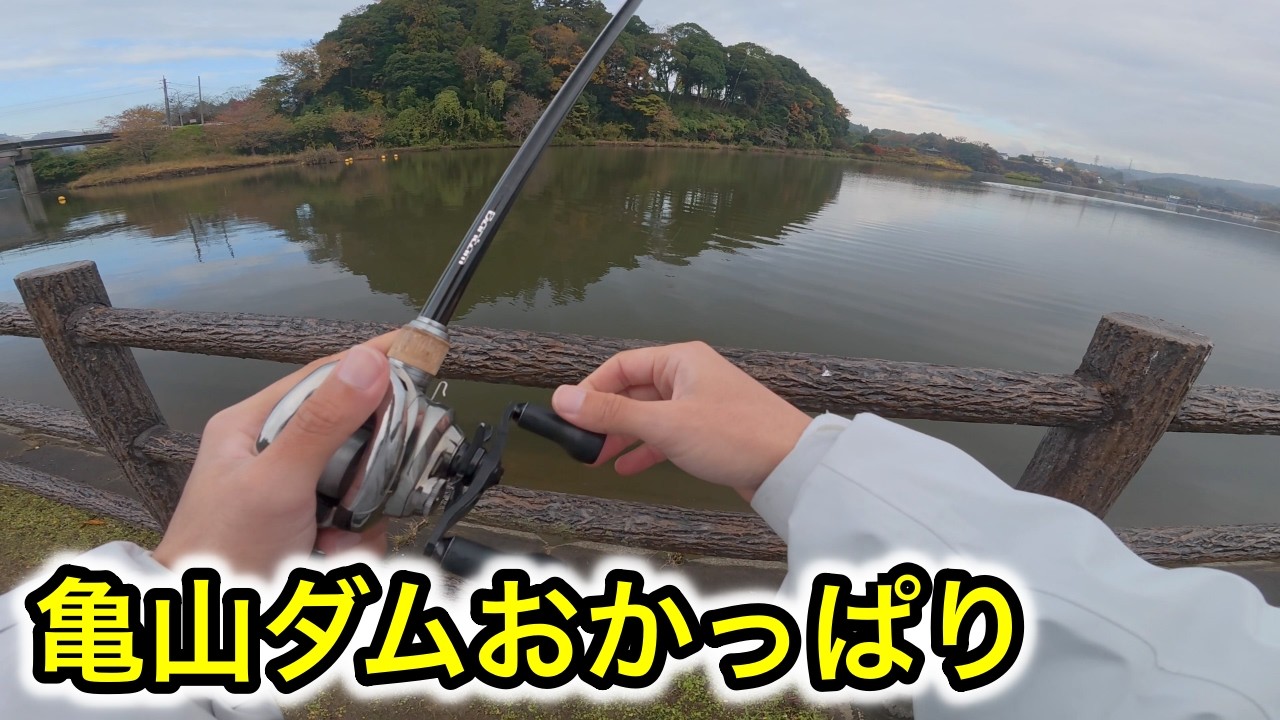 【亀山ダムバス釣り】豊英ダムも行くがポイントがわからず、亀山ダムでおかっぱりチャレンジ【車中泊釣り旅】
