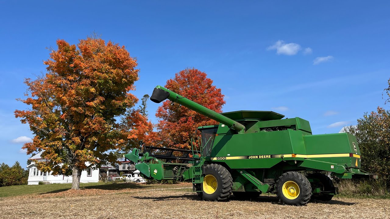 Soybean Harvest 2023: John Deere 9500