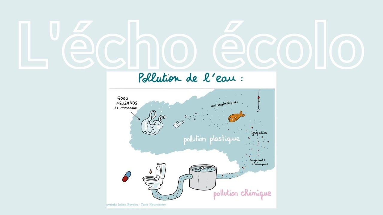 QJR : Pollution de l'eau et effet sur la santé