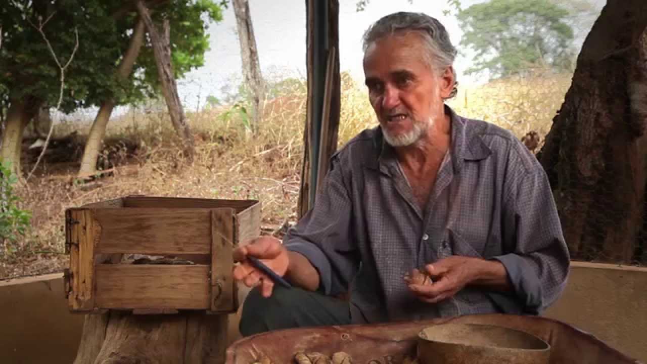 BARU - A CASTANHA DO CERRADO