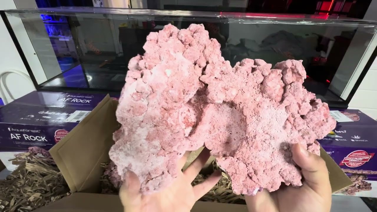 AF Rock Aquaforest rock unboxing and review.