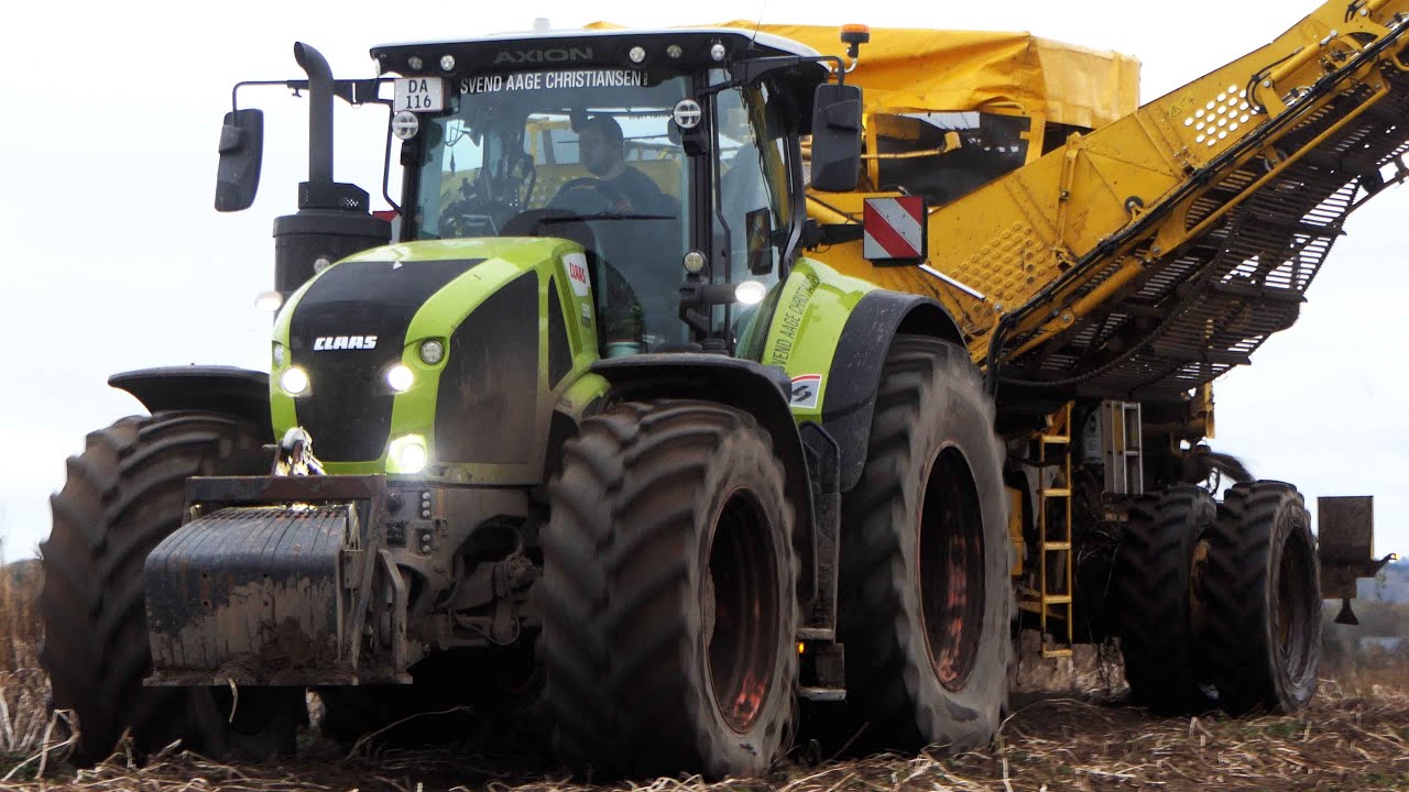 Potato Harvest 2023 | Claas Axion 930 + Ropa Keiler II L WD 2-Row Potato Harvester
