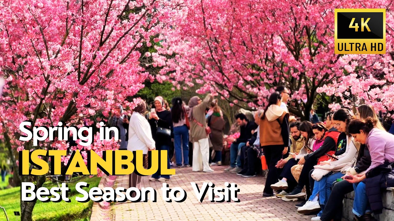 Istanbul 4K Walking Tour | Best Season to Visit Istanbul | Stunning Spring & Cherry Blossoms Vibes
