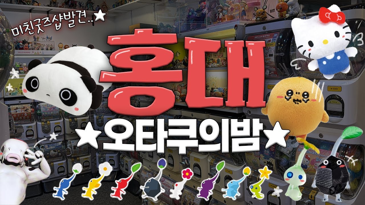 12월의 홍대 🎄 오타쿠들의 밤 🥸 홍대가면 무조건 가야하는 굿즈샵 ..✨ 산리오 | 피크민 | 산엑스 | 가챠 | Sanrio | San-X | Pikmin