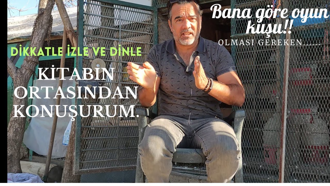 İZLE !HAYALİ DEĞİL GERÇEĞİ KONUŞALIM.KENDİNİ KANDIRMA !!! #pigeon #güvercin #oyunkuşu#tauben