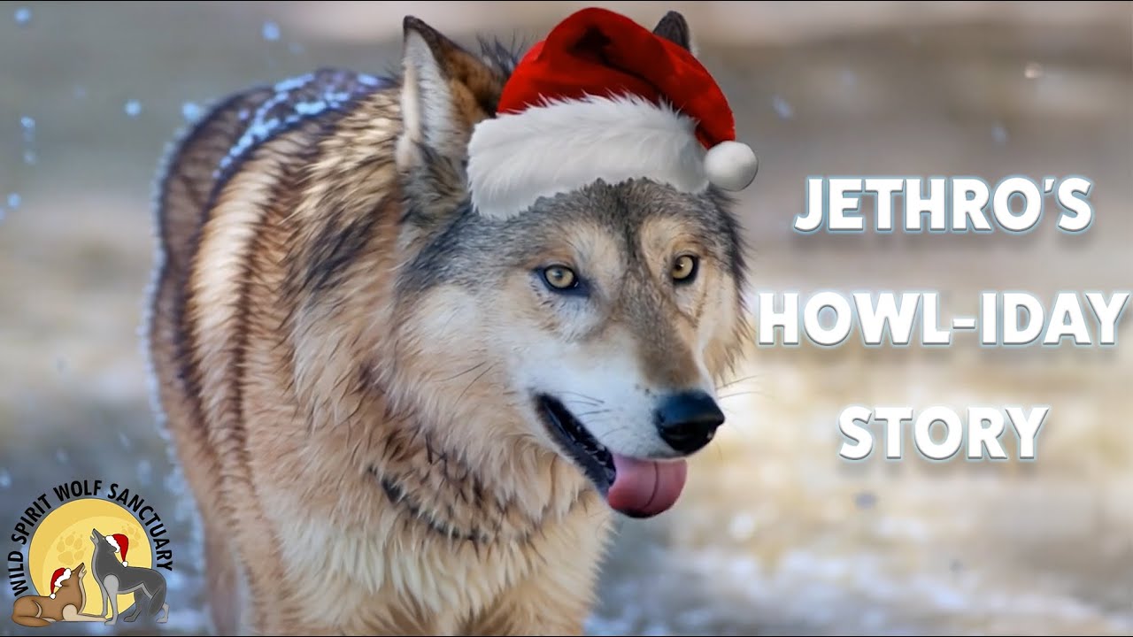 Jethro's Howl-iday Story