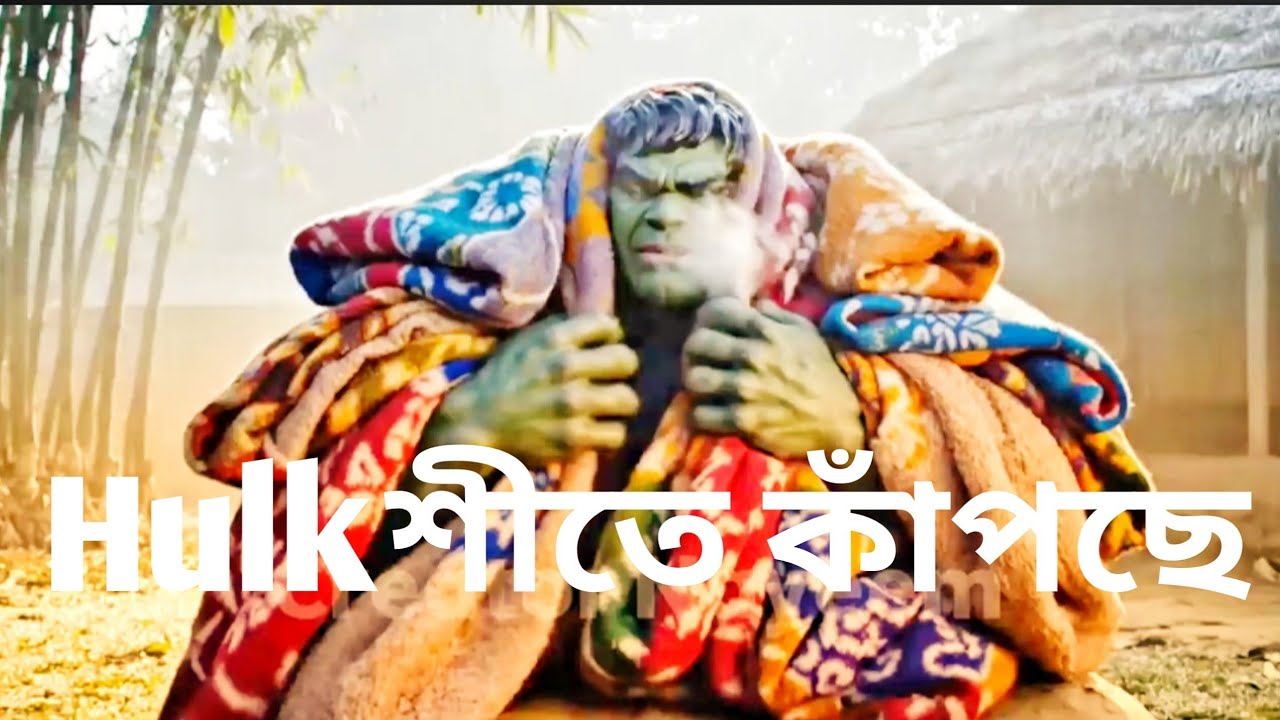 Hulk এর শ্বশুর বাড়ি #funny #hulk 