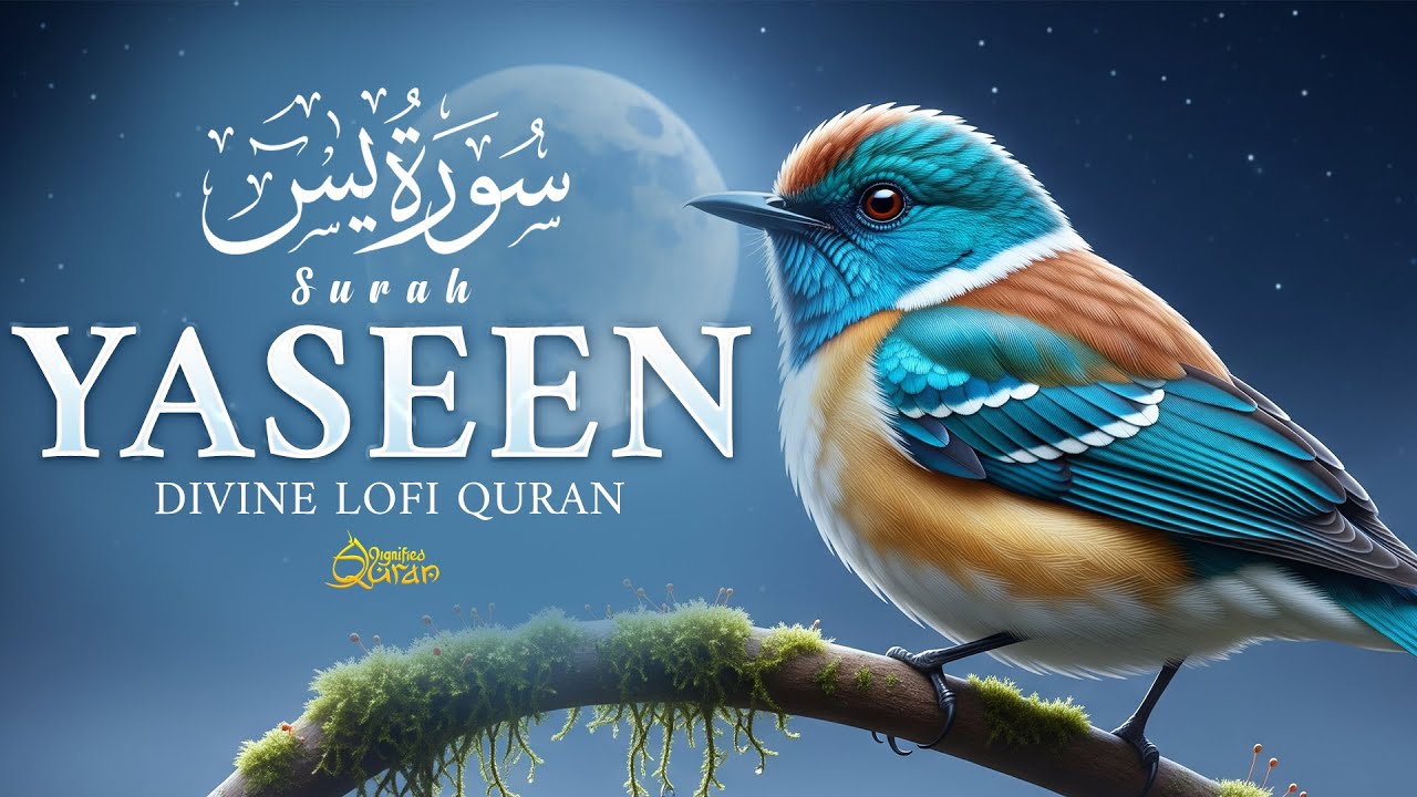 Surah Yaseen سورة يس | Ultimate Relaxing Quran for Sleep & Serenity | Dignified Quran #quran #lofi