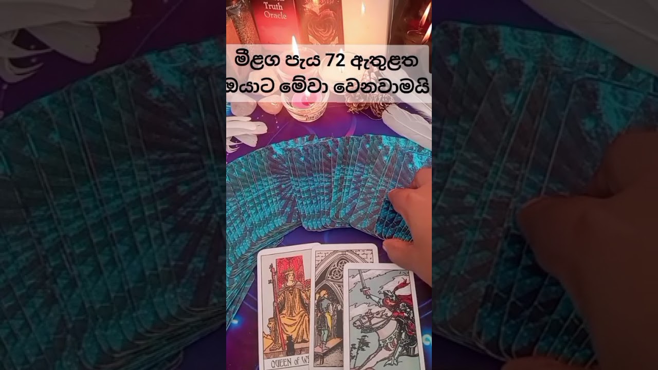 මීළග පැය 72 දී ඔයාට මේවා වෙනවාමයි🧚🧚#tarrot #viral #fpyyyyyy #fortuneteller#