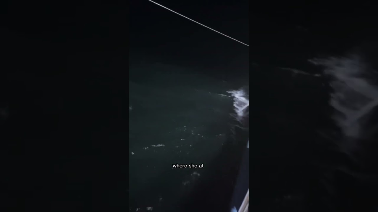 scary deep sea encounter. 