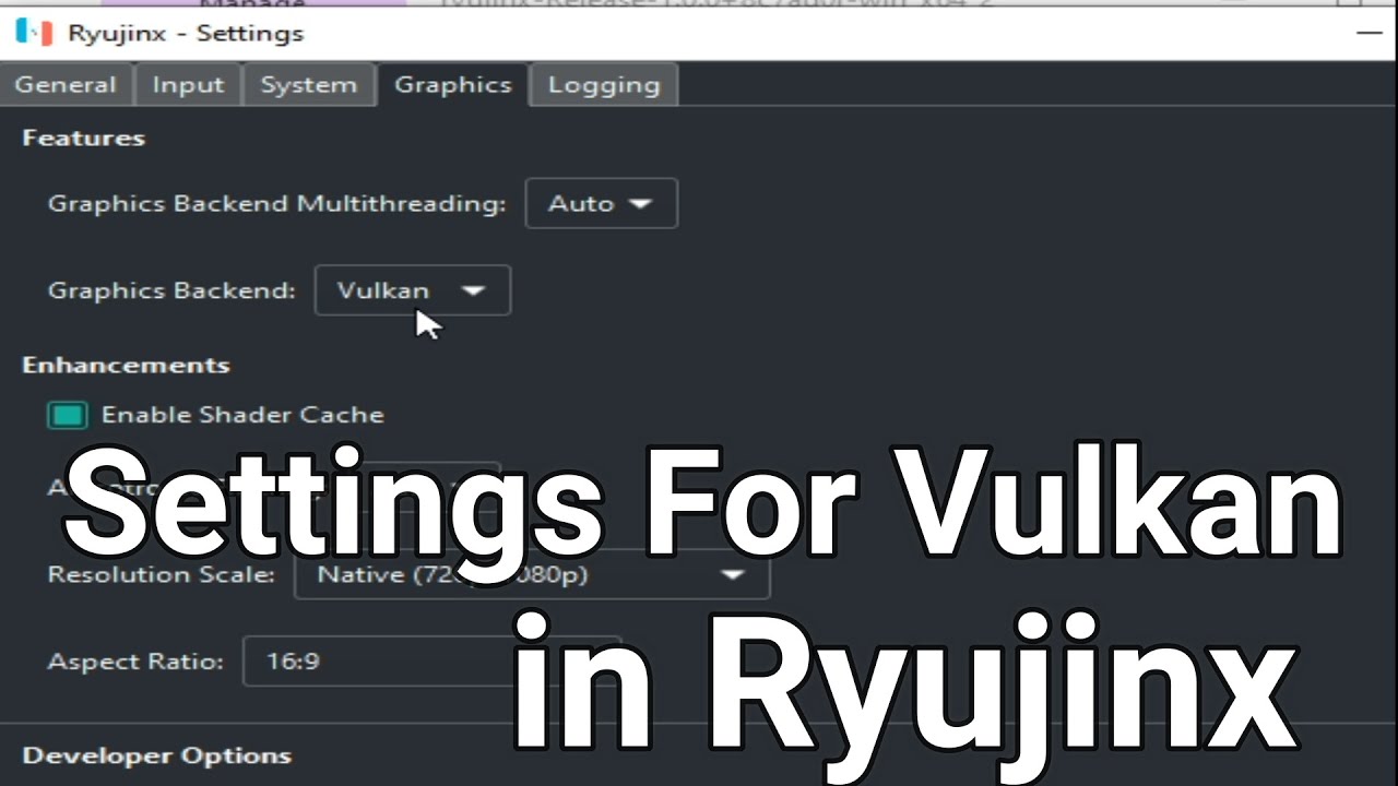 Settings For Vulkan in Ryujinx For AMD Users