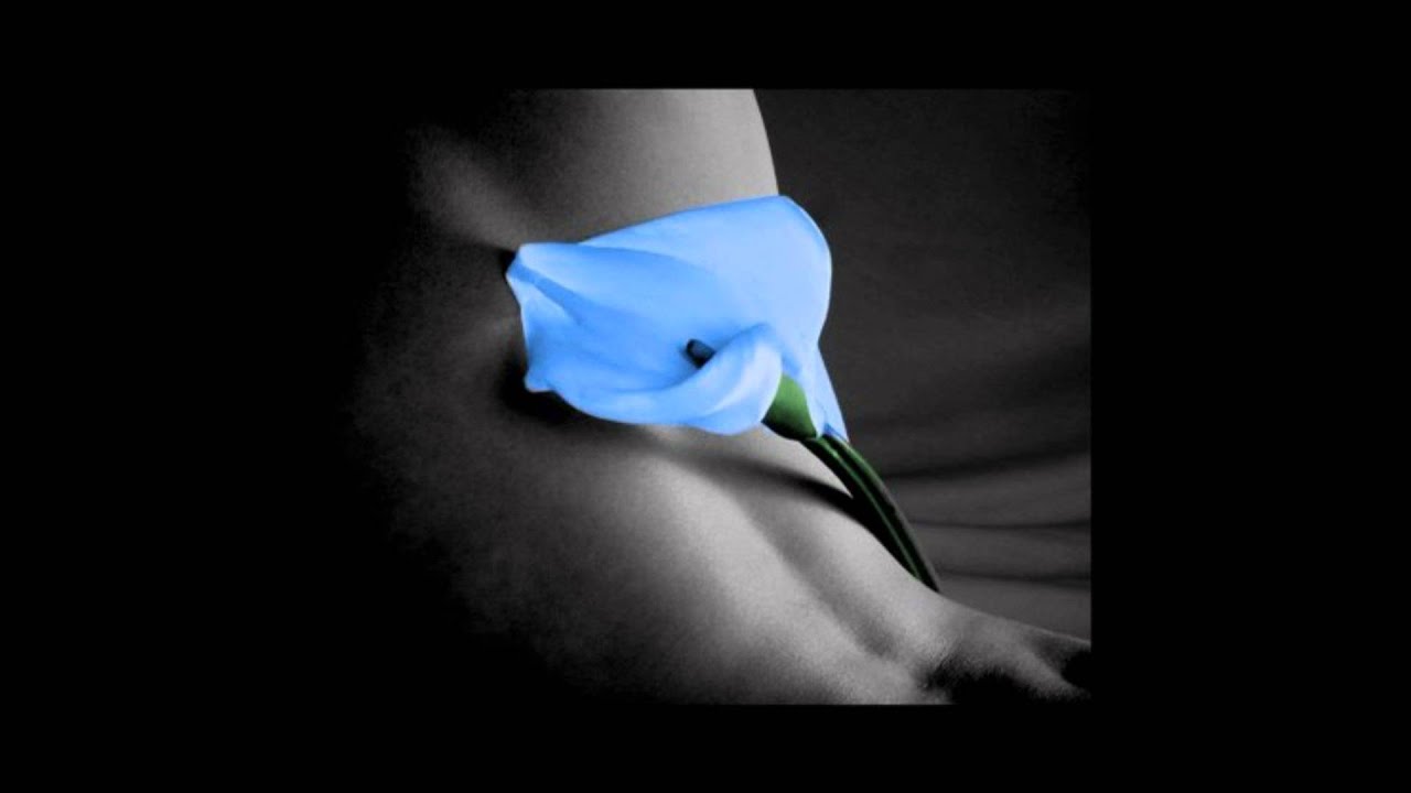 te amooooo.wmv