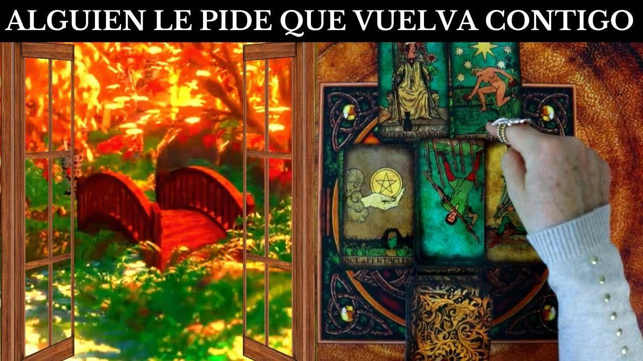 ALGUIEN LE HA DICHO QUE TE BUSQUE 🍏🍏 QUE NO ESPERE MAS