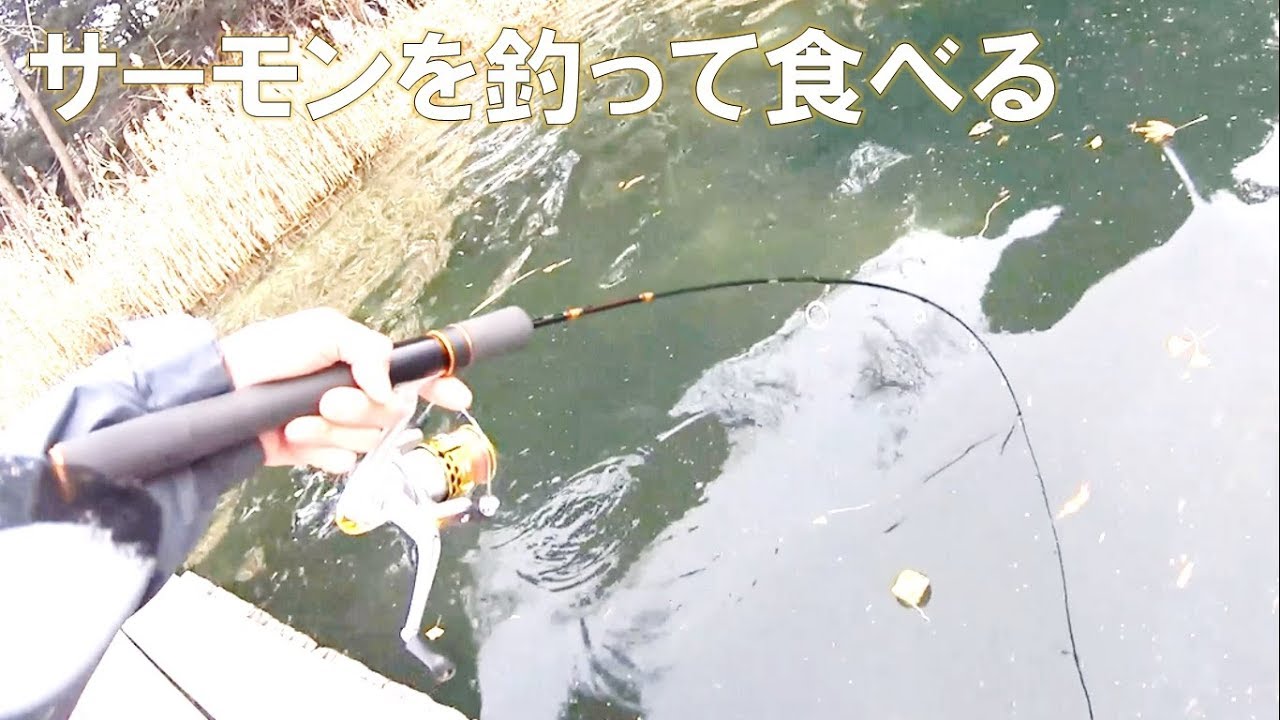 幻のサーモンを釣って食べる。最高の朝食