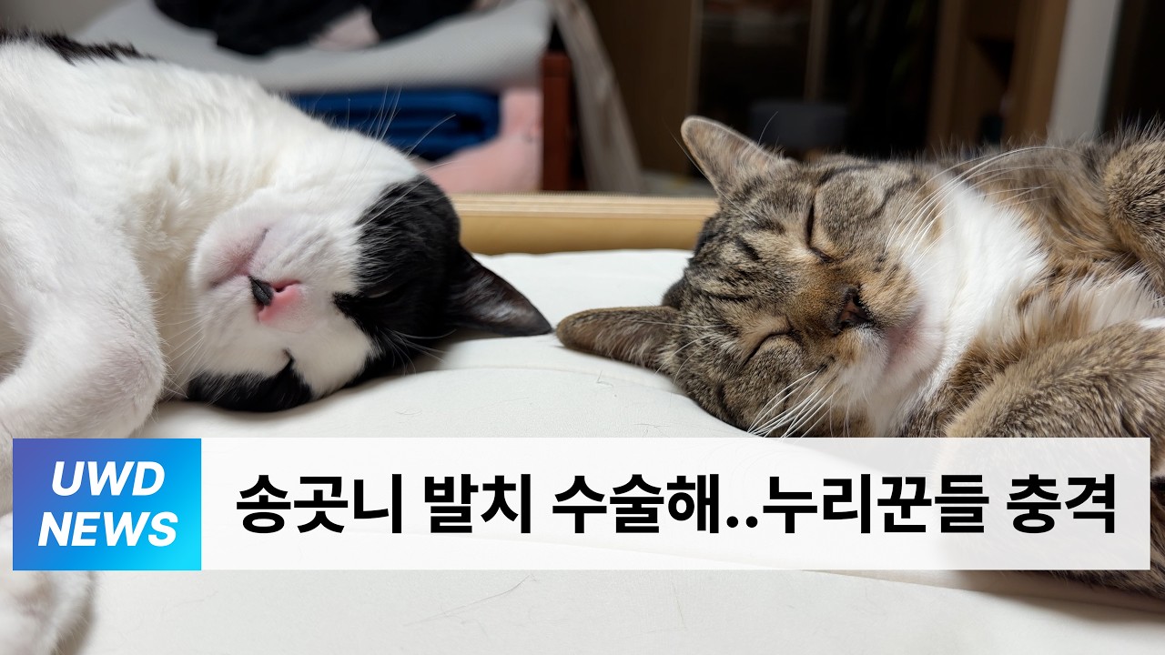 [언더월간뉴스] 칠봉지 26년 3월 이슈 총집합