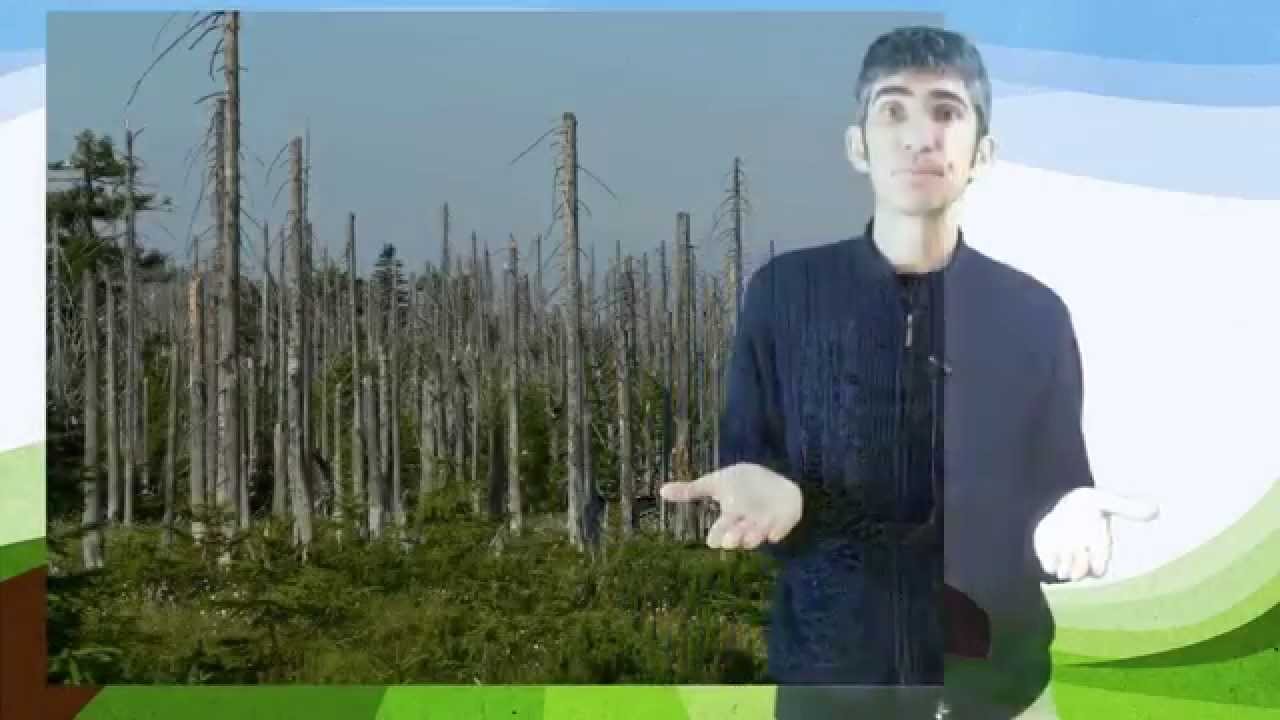 7.9 Contaminación atmosférica