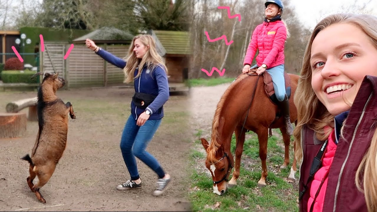 Feline rijdt mijn paarden en vrijheidsdressuur met GEIT en KIP! | Weekvlog #161