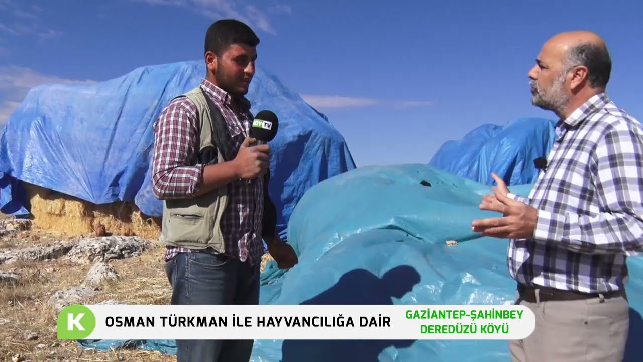 GAZİANTEP-ŞAHİBEY/DEREDÜZÜ KÖYÜ HAYVANCILIK FAALİYETLERİ | OSMAN TÜRKMAN İLE HAYVANCILIĞA DAİR