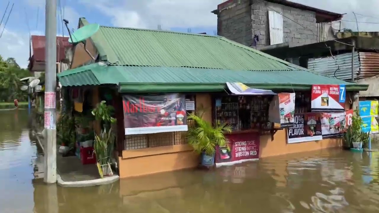 Brgy.Magsaysay Lopez Quezon