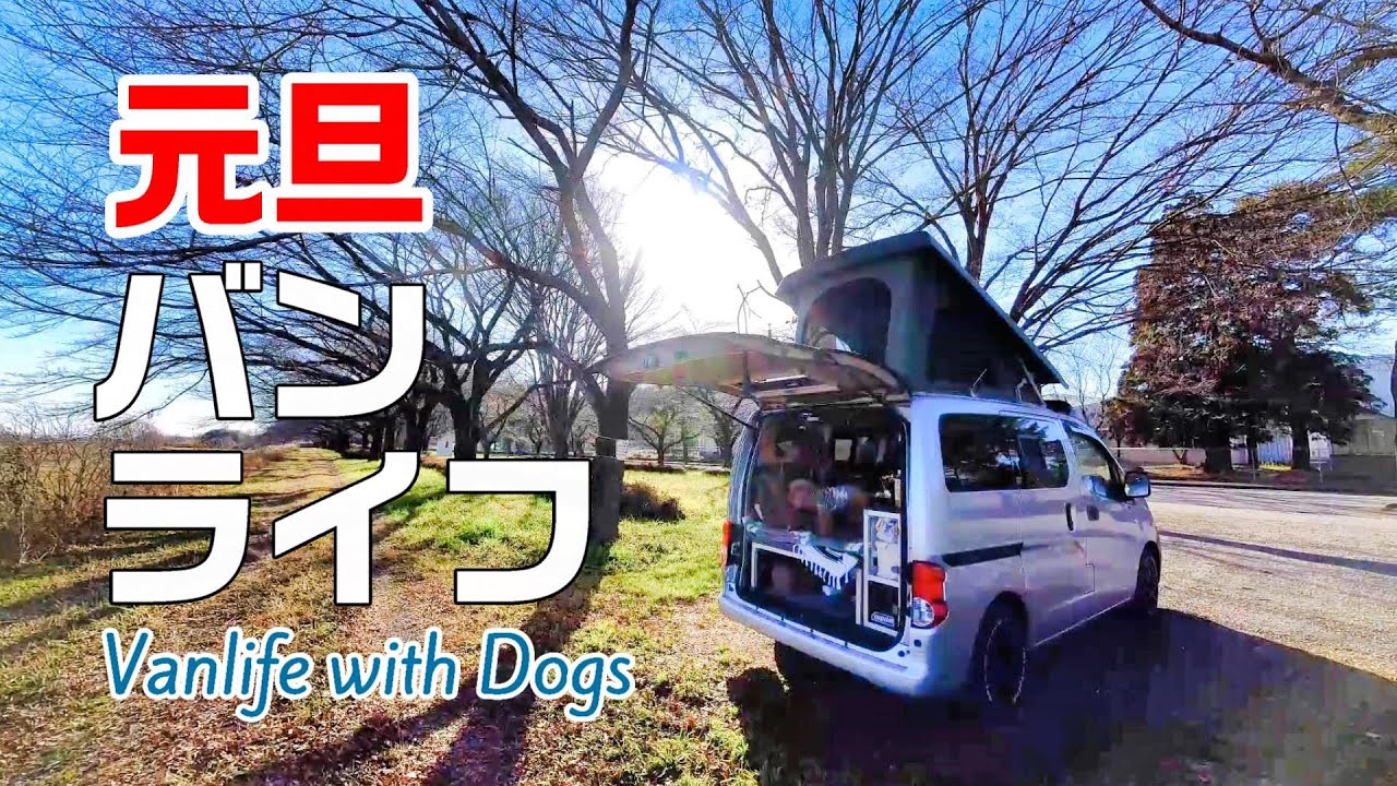 【バンライフ】2024年元旦 晴天の栃木の公園でわん達と一緒に今年最初のバンライフ｜キャンピングカー｜栃木移住｜車中飯｜バンライフ｜INUVAN イヌとバンライフ