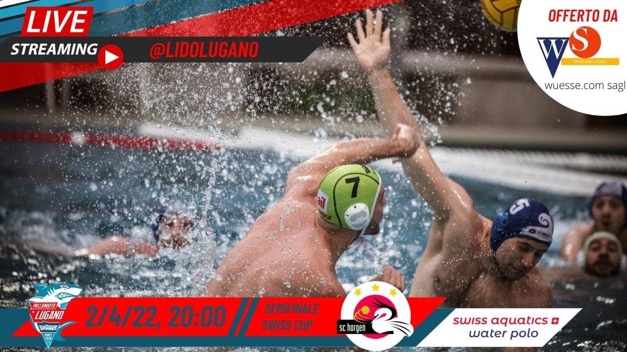 Lugano Sharks vs SC Horgen