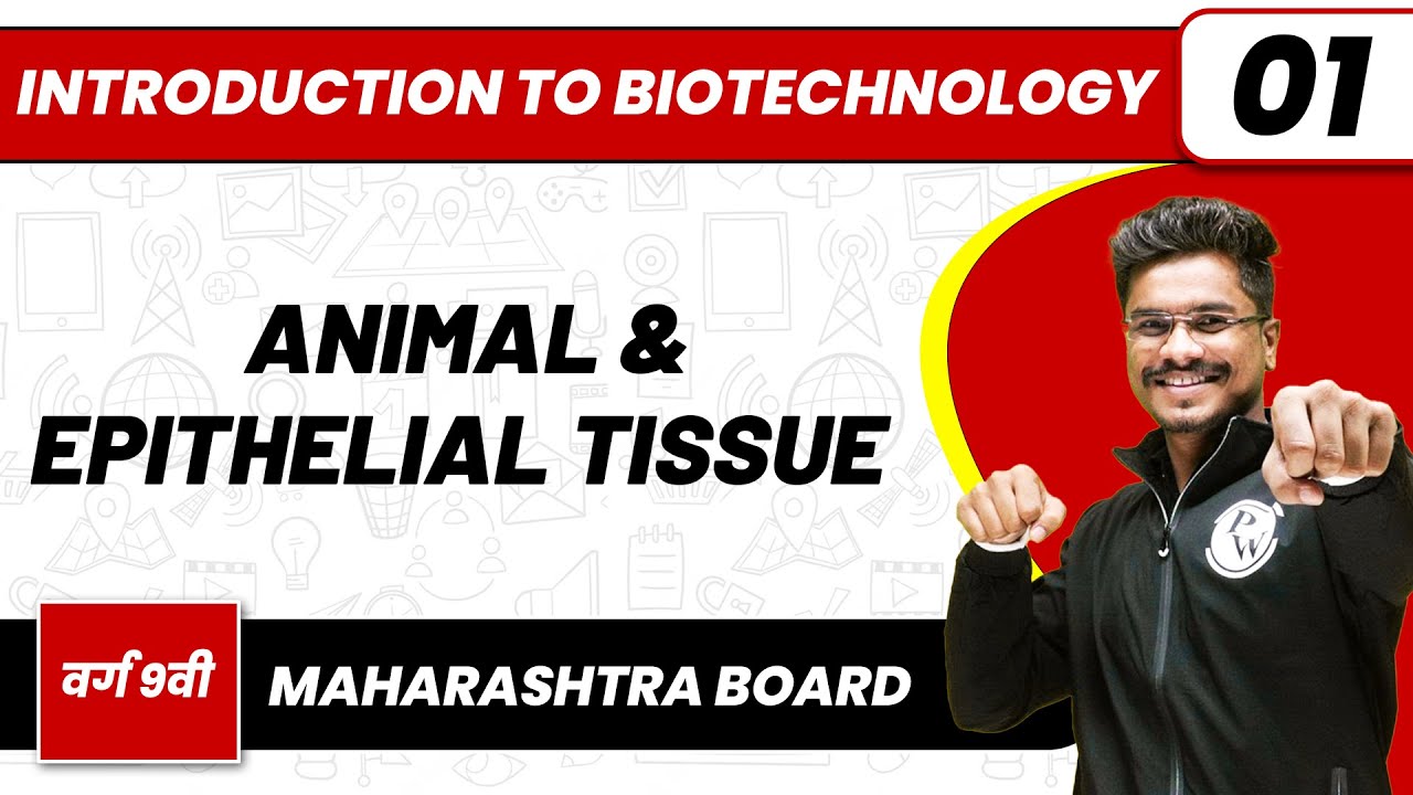 INTRODUCTION TO BIOTECHNOLOGY 01:Tissue | Biology | Class 9 | Maharashtra Board