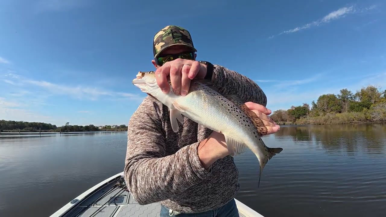 Strollin' For Speckled Trout