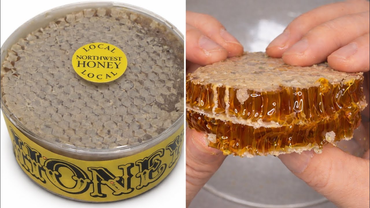 ASMR | Raw Honey Comb Eating (Eating and Mouth Sounds)