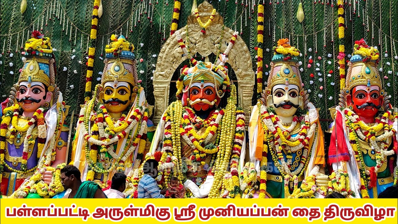 சேலம் பள்ளப்பட்டி அருள்மிகு ஶ்ரீ முனியப்பன் திருக்கோவில் தை திருவிழா || 10.02.2026 ||