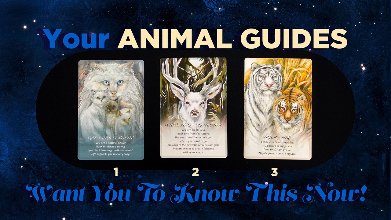 How to Navigate your BREAKTHROUGH! 🌟🦉Important Guidance from the ANIMAL GUIDES💫