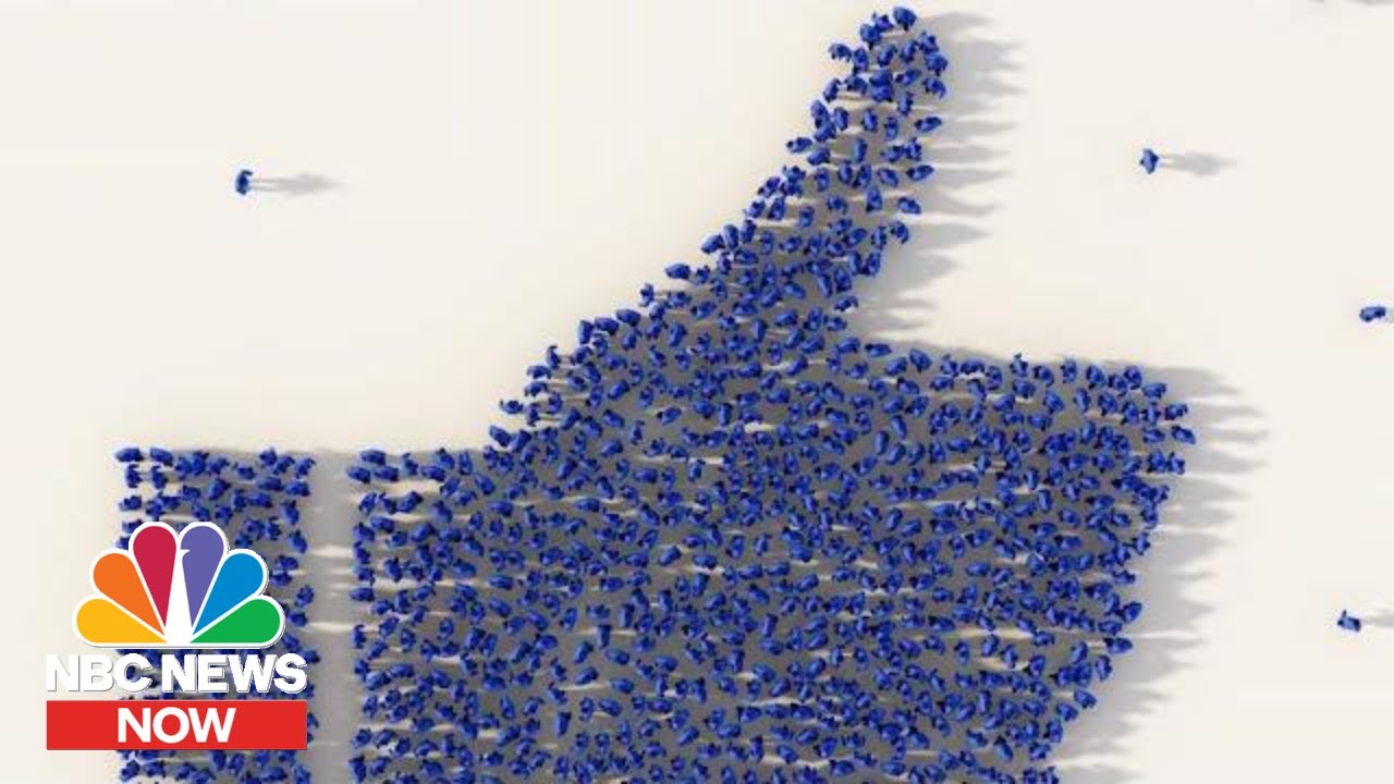 How Social Media Platforms Handle Political Advertisements | NBC News Now