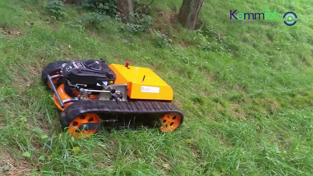 Roboflail mini (EN)