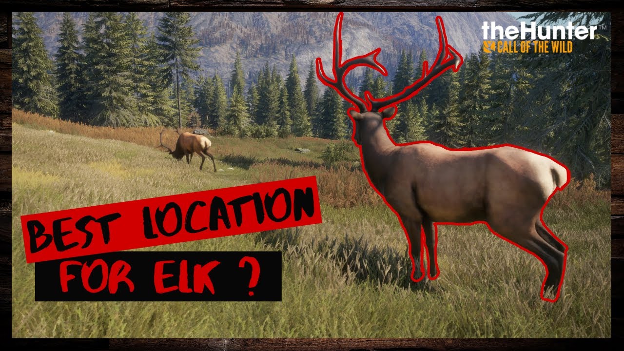 Best Location For Elk? | theHunter: Call of the Wild 2020