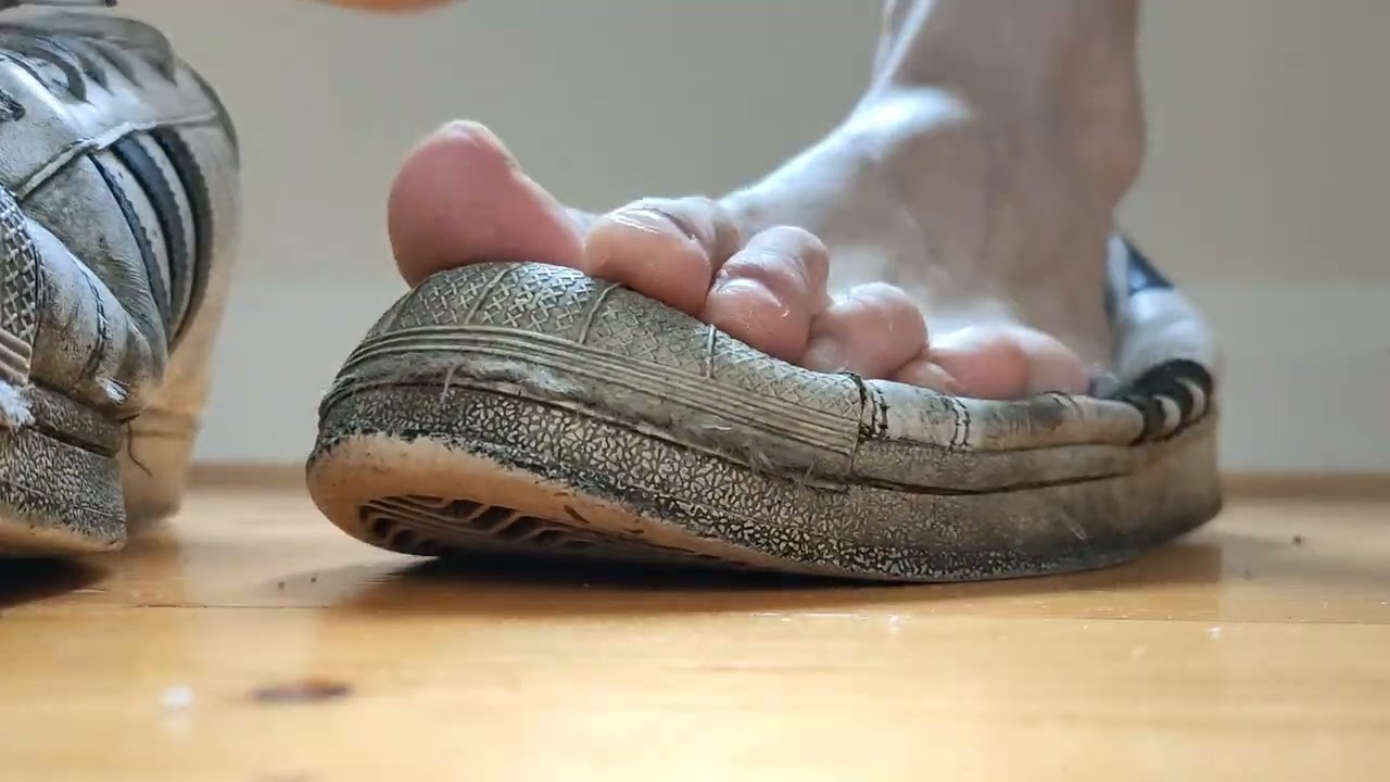trashed adidas superstars sockless