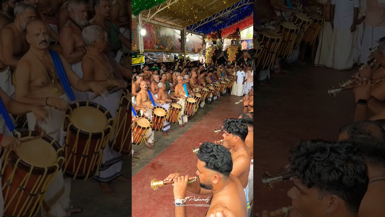 #chembada #koduthirapully #durgashtami #2024 #peruvanamkuttanmarar #virwlvideo #trending #chenda